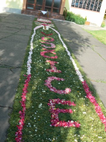 photo11.jpg