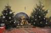 dsc_4512_small.jpg